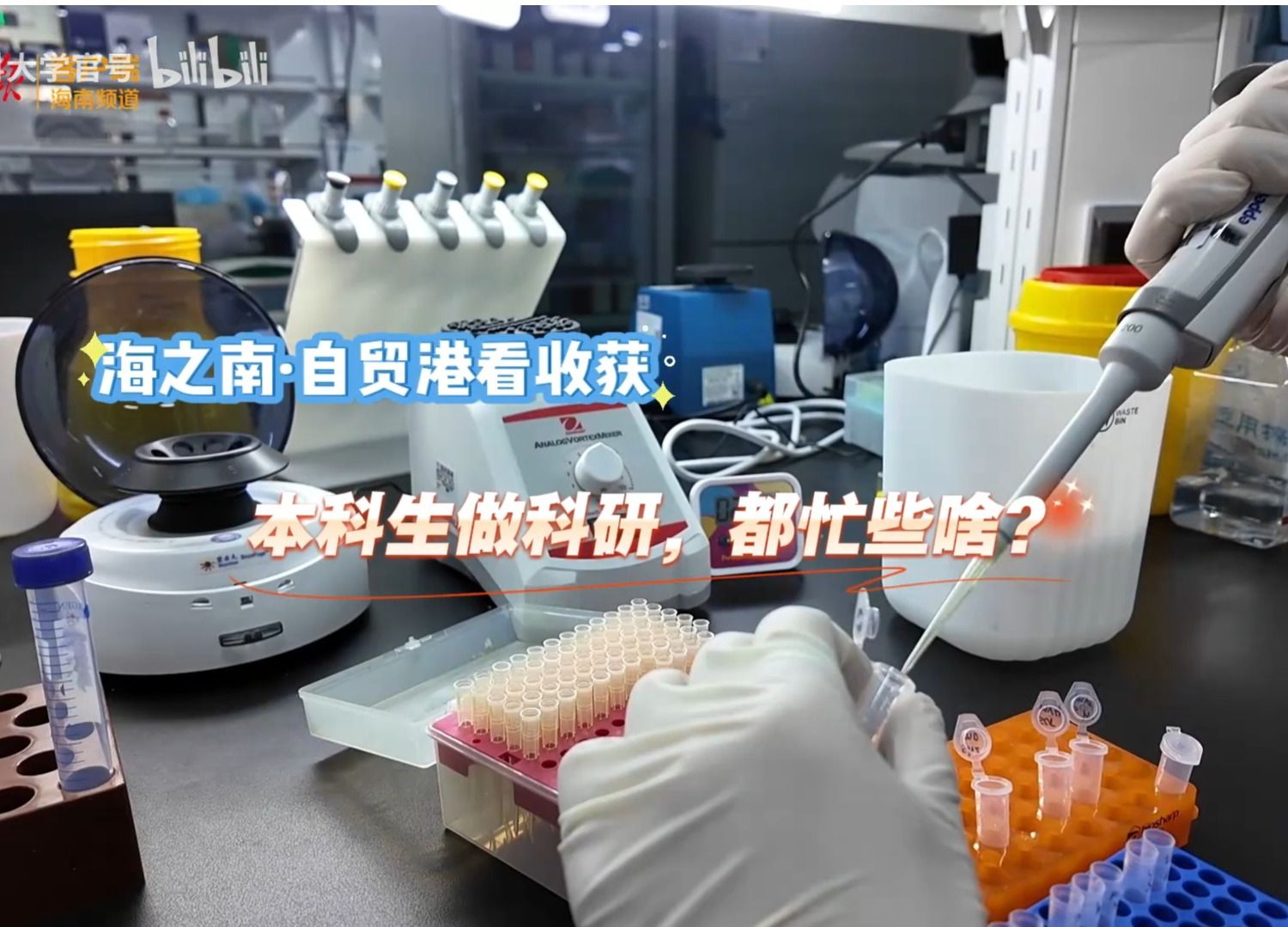 医科大学本科生做科研，都忙些啥？