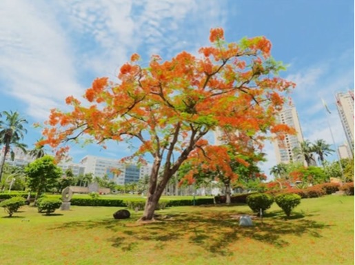 小满藏丰盈，521藏深情，夏风拂面，爱意与美好双双抵达💐
