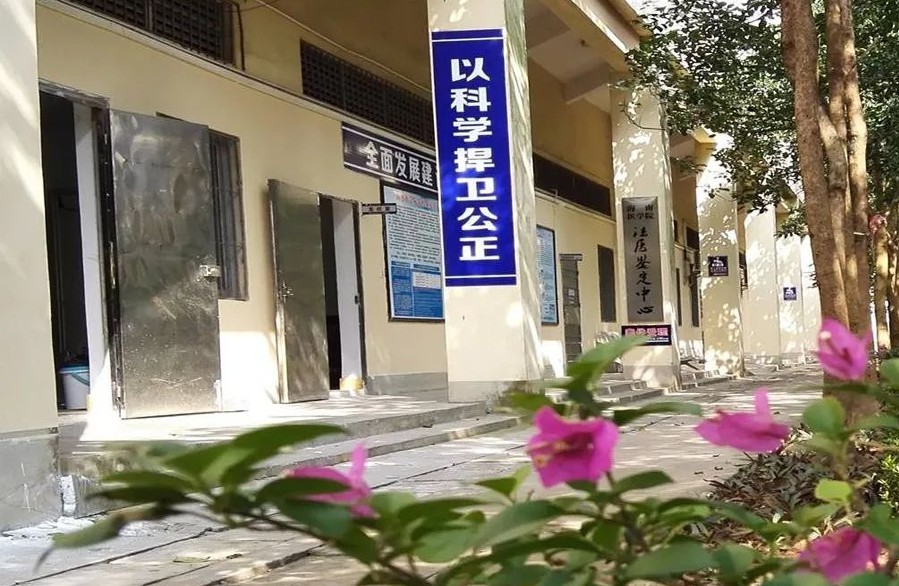 图片 图片