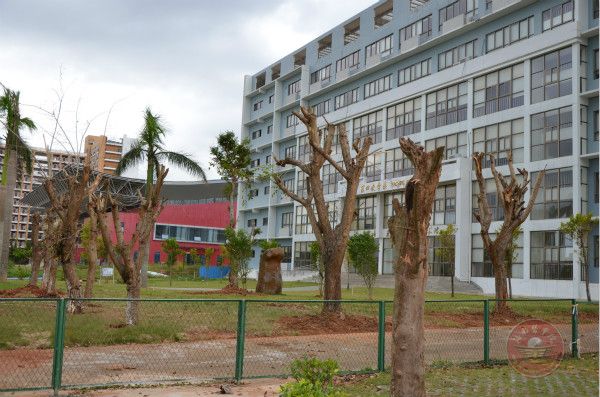 222教学楼区域清扫后.jpg