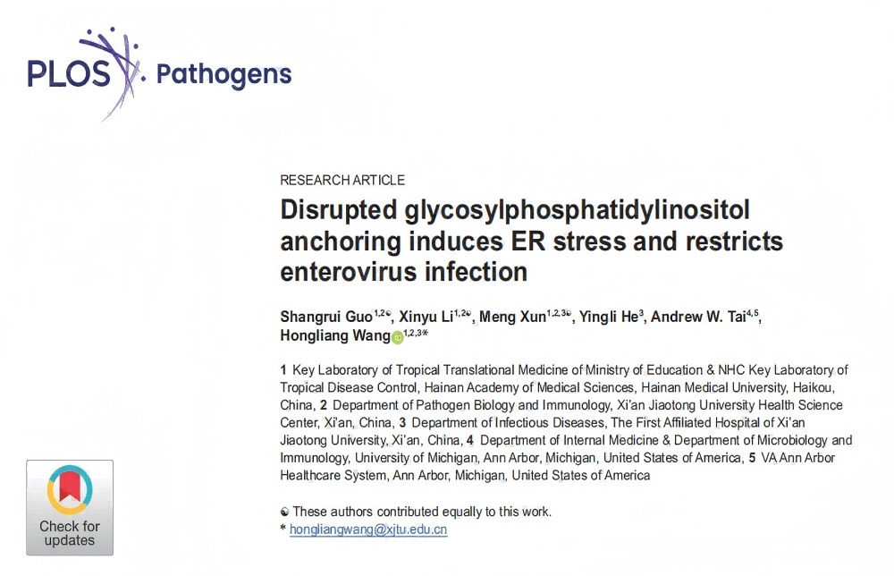 王洪亮教授团队在抗病毒机制研究方面取得重大突破——揭示GPI锚定系统调控肠道病毒感染的新机制，为抗病毒药物研发提供新靶点