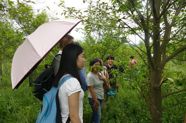 1499912845120050.jpg 农工党2_缩小大小.jpg