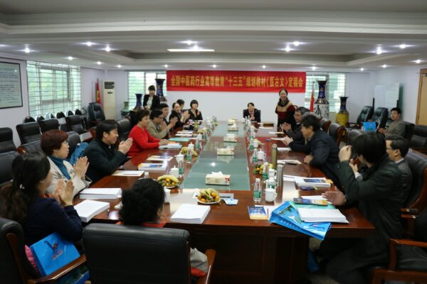 1458028787827587.jpg 高湲教授主持会议.jpg