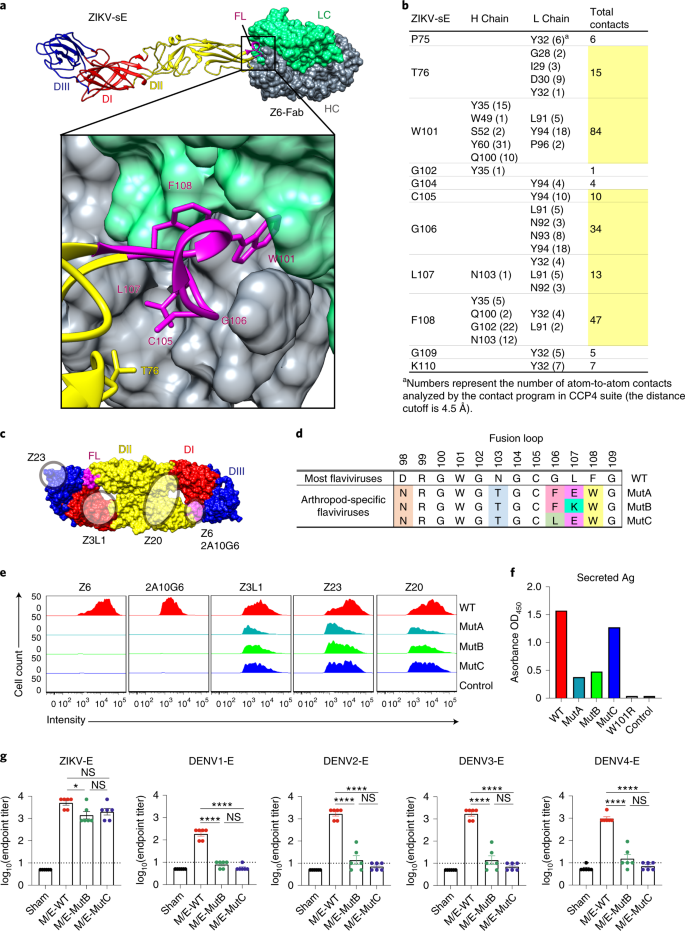 41590_2021_966_Fig1_HTML.png 41590_2021_966_Fig1_HTML.png